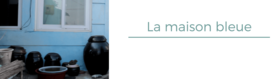 vig GP - Maison Bleue
